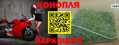 прущие грибы Краснознаменск