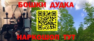 прущие грибы Краснознаменск