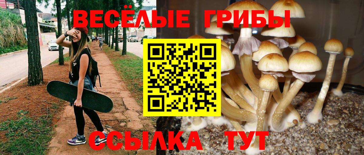 Псилоцибиновые грибы Cubensis Еманжелинск