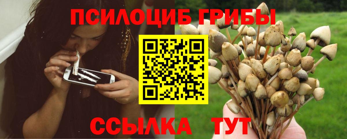 хочу наркоту  Псилоцибиновые грибы Psilocybine cubensis  Вход с VPN  Еманжелинск 